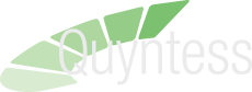 Quyntess