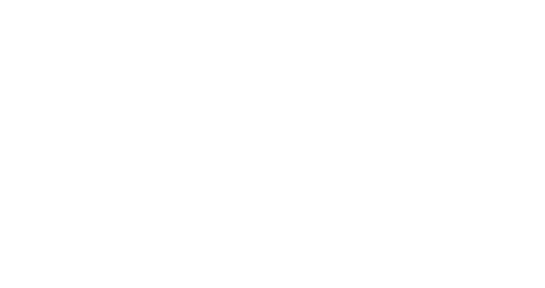 Quyntess logo white