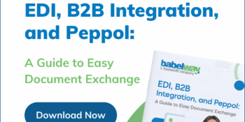 (Social-Images)-PEPPOL-Guide-Babelway (1)